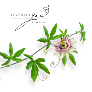 Passiebloem - Tinctuur 50ML